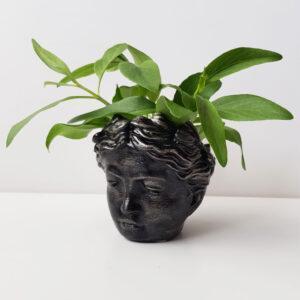 Venus head- pot cover. Hand painted.